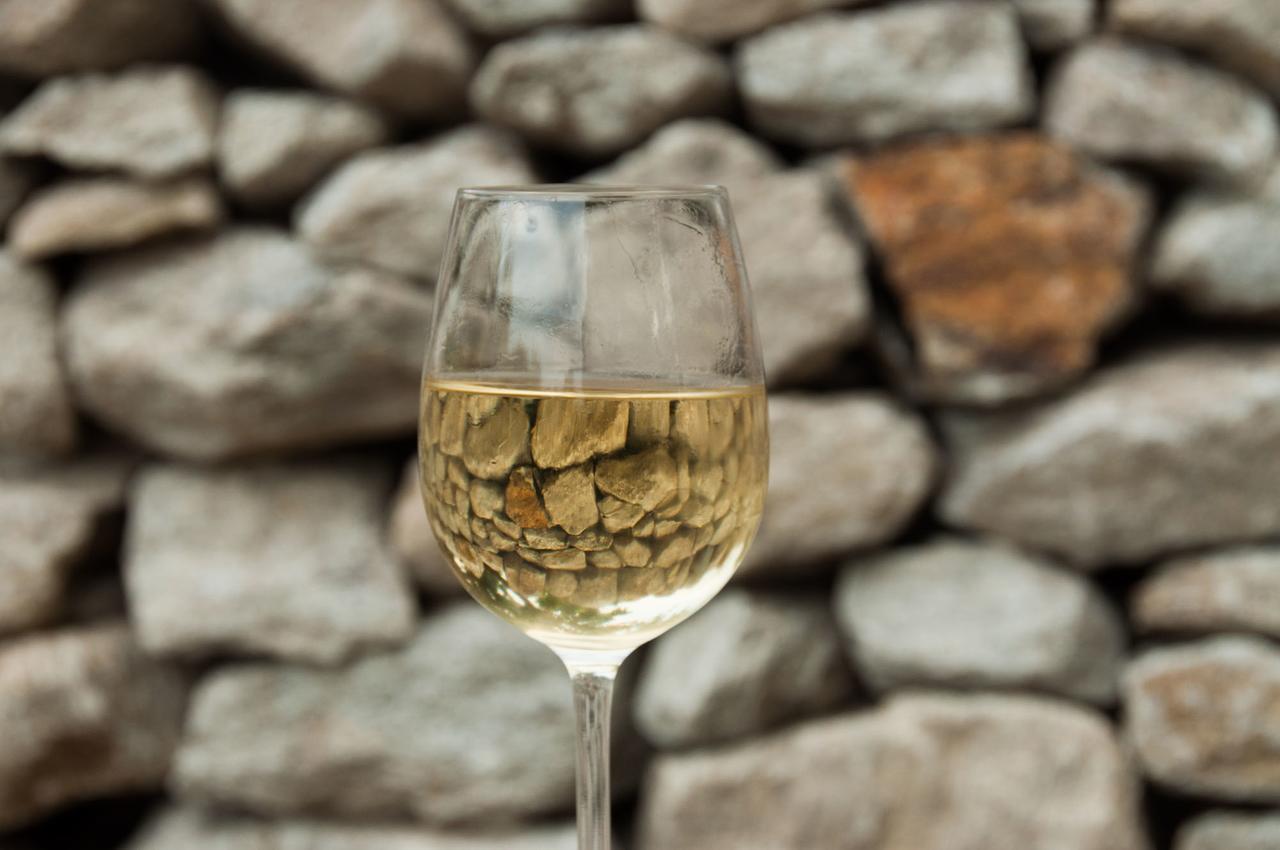 랑겐로이스 Prabatsch-Aichinger Winzergut 아파트 외부 사진